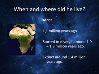 When and where did he live?
Africa
+ 1 million years ago
Started to diverge around 1.9
– 1.8 million years ago.

Extinct around 1.4 million
years ago.

 