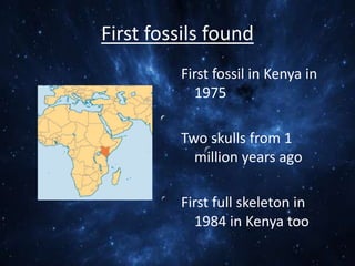 First fossils found
First fossil in Kenya in
1975
Two skulls from 1
million years ago
First full skeleton in
1984 in Kenya too

 