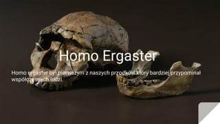 Homo Ergaster
Homo ergaster był pierwszym z naszych przodków który bardziej przypominał
współczesnych ludzi.
 