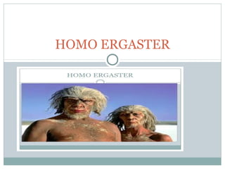 HOMO ERGASTER
 