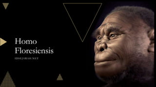 Homo
Floresiensis
IDSEJARAH.NET
 