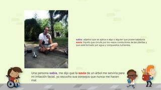 Una persona sabia, me dijo que la savia de un árbol me serviría para
mi irritación facial, yo escucho sus consejos que nunca me hacen
mal.
sabia: adjetivo que se aplica a algo o alguien que posee sabiduría
savia: líquido que circula por los vasos conductores de las plantas y
que está formado por agua y compuestos nutrientes.
 