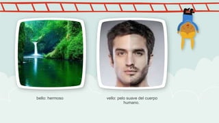 bello: hermoso vello: pelo suave del cuerpo
humano.
 