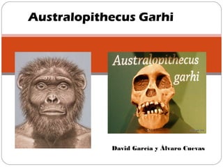 David García y Álvaro Cuevas
Australopithecus Garhi
 