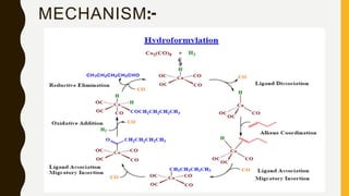 Homogeneous catalysis | PPTX