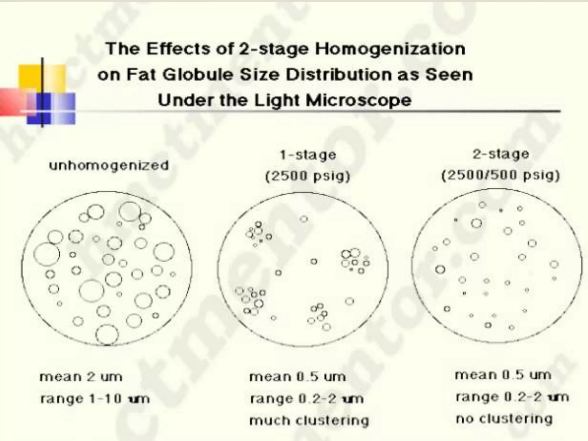 Homogenization | PPTX