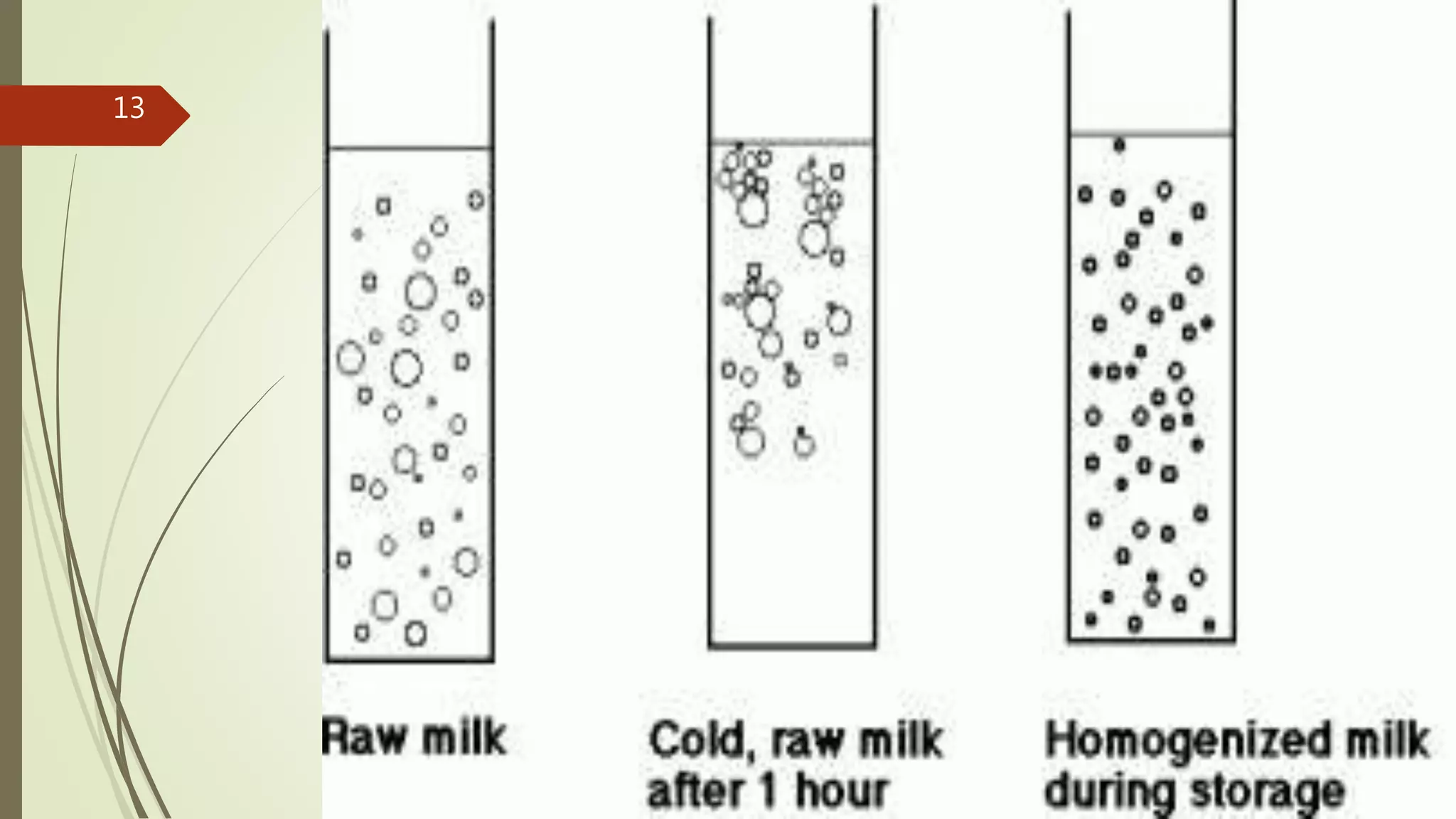 Homogenized milk | PPTX