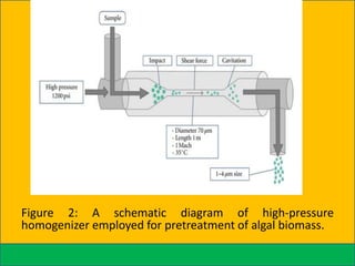 Figure 2: A schematic diagram of high-pressure
homogenizer employed for pretreatment of algal biomass.

 