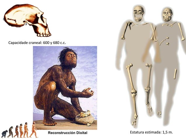 Homo daniel díaz PPT