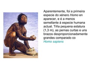 Aparentemente, foi a primeira especie do xénero  Homo  en aparecer, e é a menos semellante á especie humana actual. Tiña pequena estatura (1,3 m), as pernas curtas e uns brazos desproporcionadamente grandes comparado co  Homo sapiens   