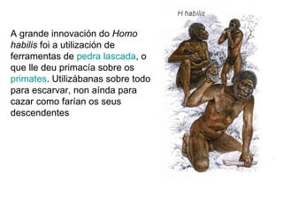A grande innovación do  Homo habilis  foi a utilización de ferramentas de  pedra  lascada , o que lle deu primacía sobre os  primates . Utilizábanas sobre todo para escarvar, non aínda para cazar como farían os seus descendentes  