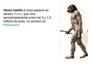 Homo habilis  é unha especie do xénero  Homo , que viviu aproximadamente entre hai 2 e 1,5 millóns de anos, no comezo do  Pleistoceno   