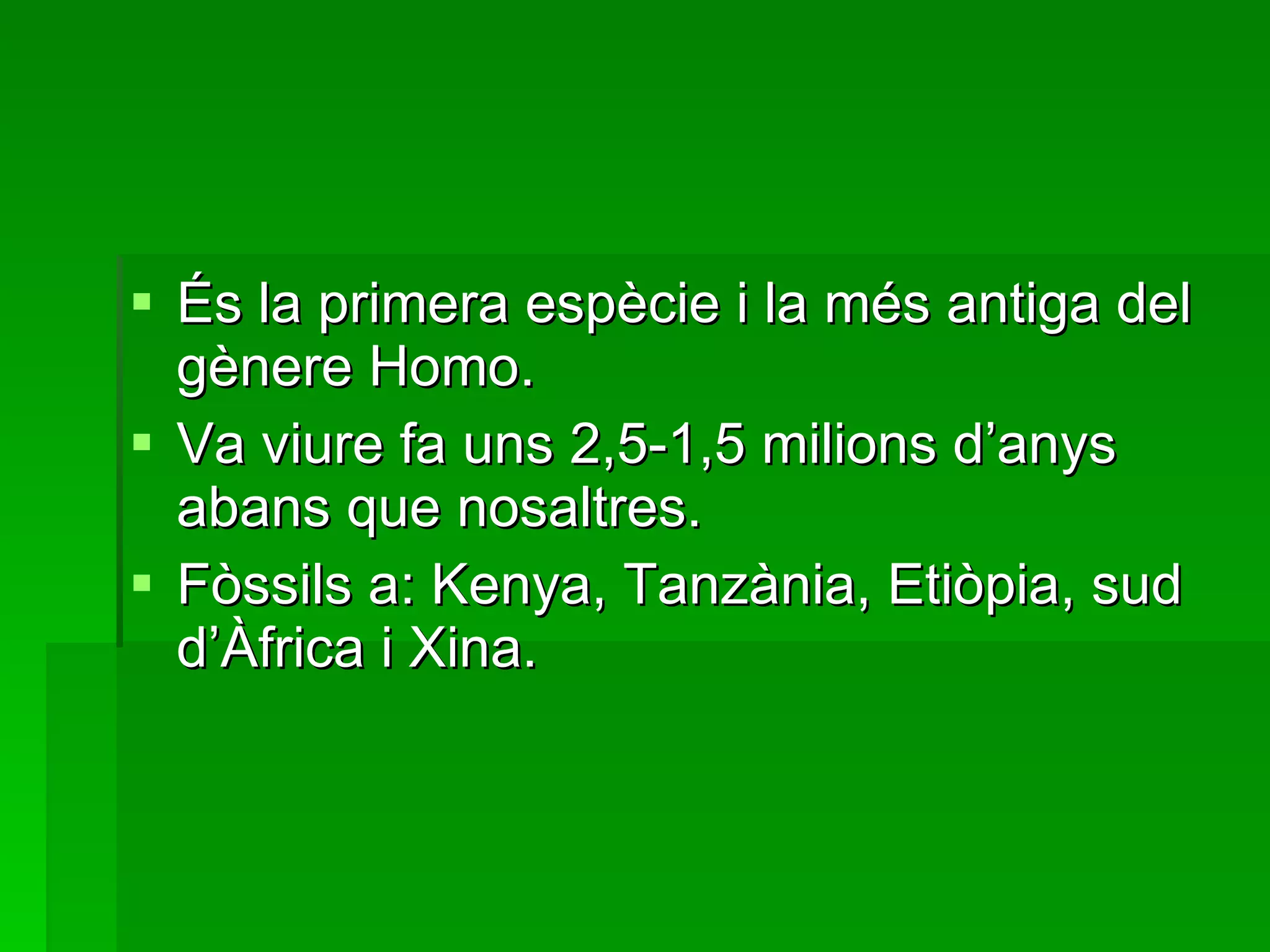Homo habilis (A) | PPT