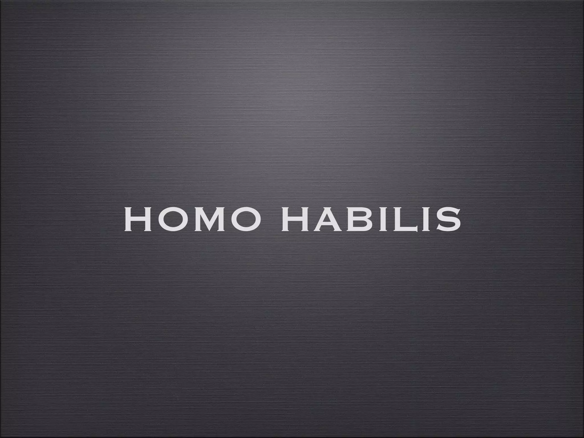 Homo habilis | PPT