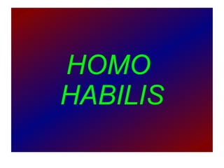 HOMO  HABILIS 