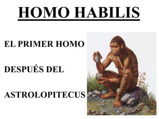 HOMO HABILIS 
EL PRIMER HOMO 
DESPUÉS DEL 
ASTROLOPITECUS 
 