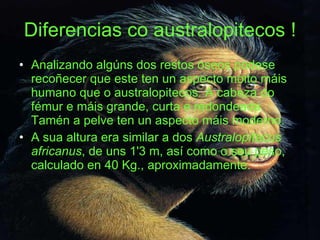 Diferencias co australopitecos ! Analizando algúns dos restos óseos podese recoñecer que este ten un aspecto moito máis humano que o australopitecos. A cabeza do fémur e máis grande, curta e redondeada. Tamén a pelve ten un aspecto máis moderno. A sua altura era similar a dos  Australopitecus africanus , de uns 1'3 m, así como o seu peso, calculado en 40 Kg., aproximadamente. 
