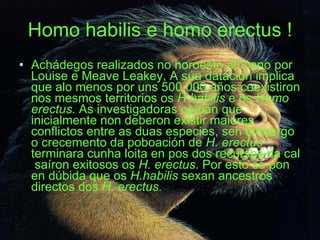 Homo habilis e homo erectus ! Achádegos realizados no noroeste africano por Louise e Meave Leakey, A súa datación implica que alo menos por uns 500.000 años coexistiron nos mesmos territorios os  H habilis  e os  Homo erectus.  As investigadoras opinan que inicialmente non deberon existir maiores conflictos entre as duas especies, sen embargo o crecemento da poboación de  H. erectus  terminara cunha loita en pos dos recursos da cal  saíron exitosos os  H. erectus . Por esto se pon en dúbida que os  H.habilis  sexan ancestros directos dos  H. erectus. 