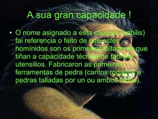 A sua gran capacidade ! O nome asignado a esta especie (habilis) fai referencia o feito de que estes homínidos son os primeiros talladores que tiñan a capacidade técnica de fabricar utensilios. Fabricaron as primeiras ferramentas de pedra (cantos rodados e pedras talladas por un ou ambos lados). 