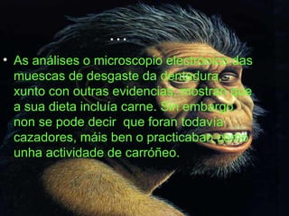 As análises o microscopio electrónico das muescas de desgaste da dentadura, xunto con outras evidencias, mostran que a sua dieta incluía carne. Sin embargo, non se pode decir  que foran todavía cazadores, máis ben o practicaban como unha actividade de carróñeo.  … 