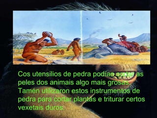 Cos utensilios de pedra podían cortar as peles dos animais algo mais grosas. Tamén utilizaron estos instrumentos de pedra para cortar plantas e triturar certos vexetais duros. 