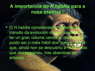 A importancia do  H.habilis  para a nosa especie ! O  H.habilis  considerase a especie de tránsito da evolución do ser humano ; o ter un gran volume cerebral; creese que puido ser o máis hábil dos homos, ainda que, ainda non se descubriu a razón pola que desapareceu, tras abandoar as árbores.   