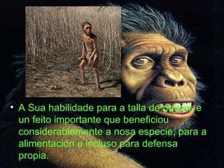 A Sua habilidade para a talla de pedras e un feito importante que beneficiou considerablemente a nosa especie, para a alimentación e incluso para defensa propia. 