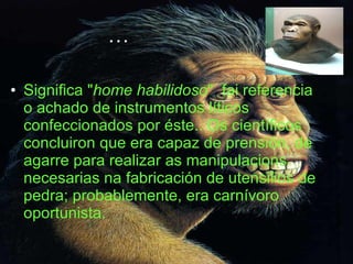… Significa " home habilidoso "  fai referencia o achado de instrumentos líticos confeccionados por éste.. Os científicos concluiron que era capaz de prensión, de agarre para realizar as manipulacions necesarias na fabricación de utensilios de pedra; probablemente, era carnívoro oportunista.  