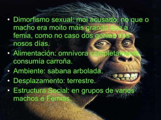 Dimorfismo sexual: moi acusado, no que o macho era moito máis grande que a femia, como no caso dos gorilas dos nosos días.  Alimentación: omnívora completamente, consumía carroña. Ambiente: sabana arbolada. Desplazamento: terrestre. Estructura Social: en grupos de varios machos e Femias. 
