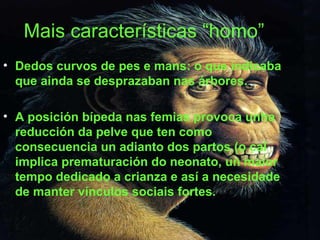 Mais características “homo” Dedos curvos de pes e mans: o que indicaba que ainda se desprazaban nas árbores. A posición bípeda nas femias provoca unha reducción da pelve que ten como consecuencia un adianto dos partos (o cal implica prematuración do neonato, un maior tempo dedicado a crianza e así a necesidade de manter vínculos sociais fortes.  