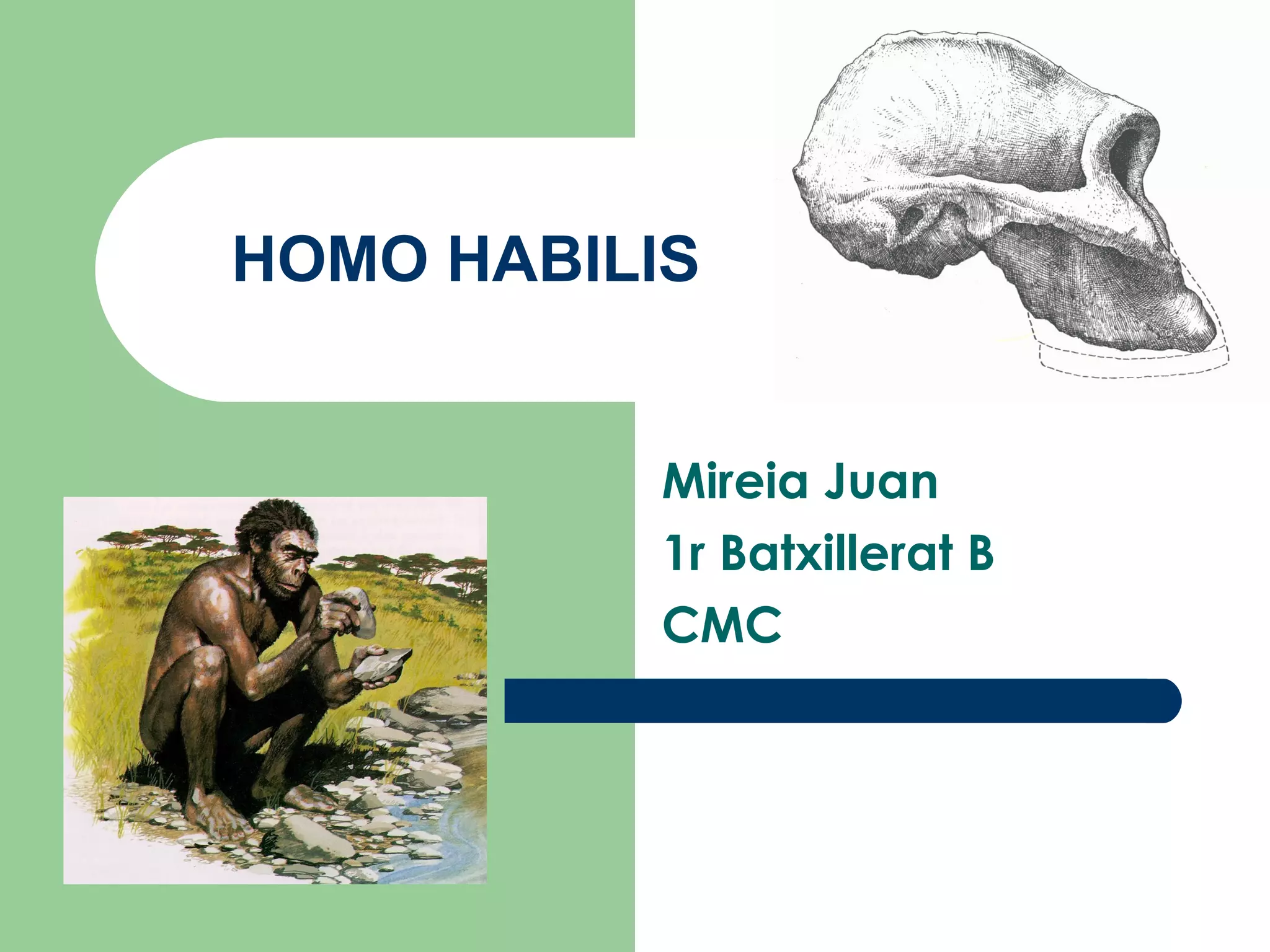 Zadane Pl Historia Klasa 4 Co To Homo Habilis