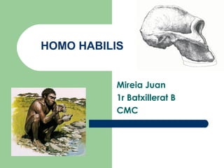 HOMO HABILIS Mireia Juan 1r Batxillerat B CMC 