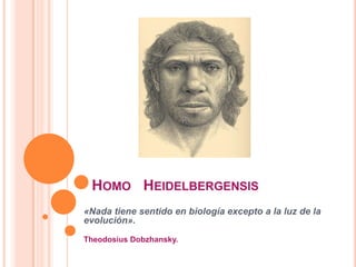 HOMO HEIDELBERGENSIS
«Nada tiene sentido en biología excepto a la luz de la
evolución».
Theodosius Dobzhansky.
 