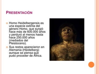 PRESENTACIÓN
 Homo Heidelbergensis es
una especie extinta del
género Homo, que surgió
hace más de 600.000 años
y perduró al menos hasta
hace 250.000 años
(mediados del
Pleistoceno).
 Sus restos aparecieron en
Alemania (Heidelberg)
aunque se piensa que
pudo proceder de África.
 
