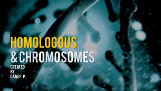 HOMOLOGOUS
&Chromosomes
Created
by
Danop P.
 