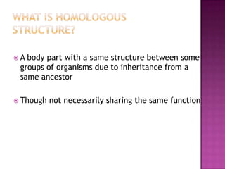 A body part with a same structure between some
 groups of organisms due to inheritance from a
 same ancestor

 Though   not necessarily sharing the same function
 