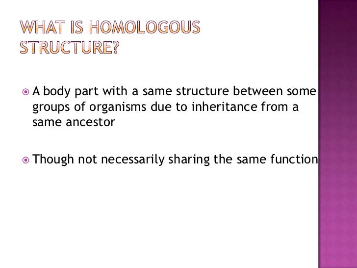 Homologous Structure (Evolution)