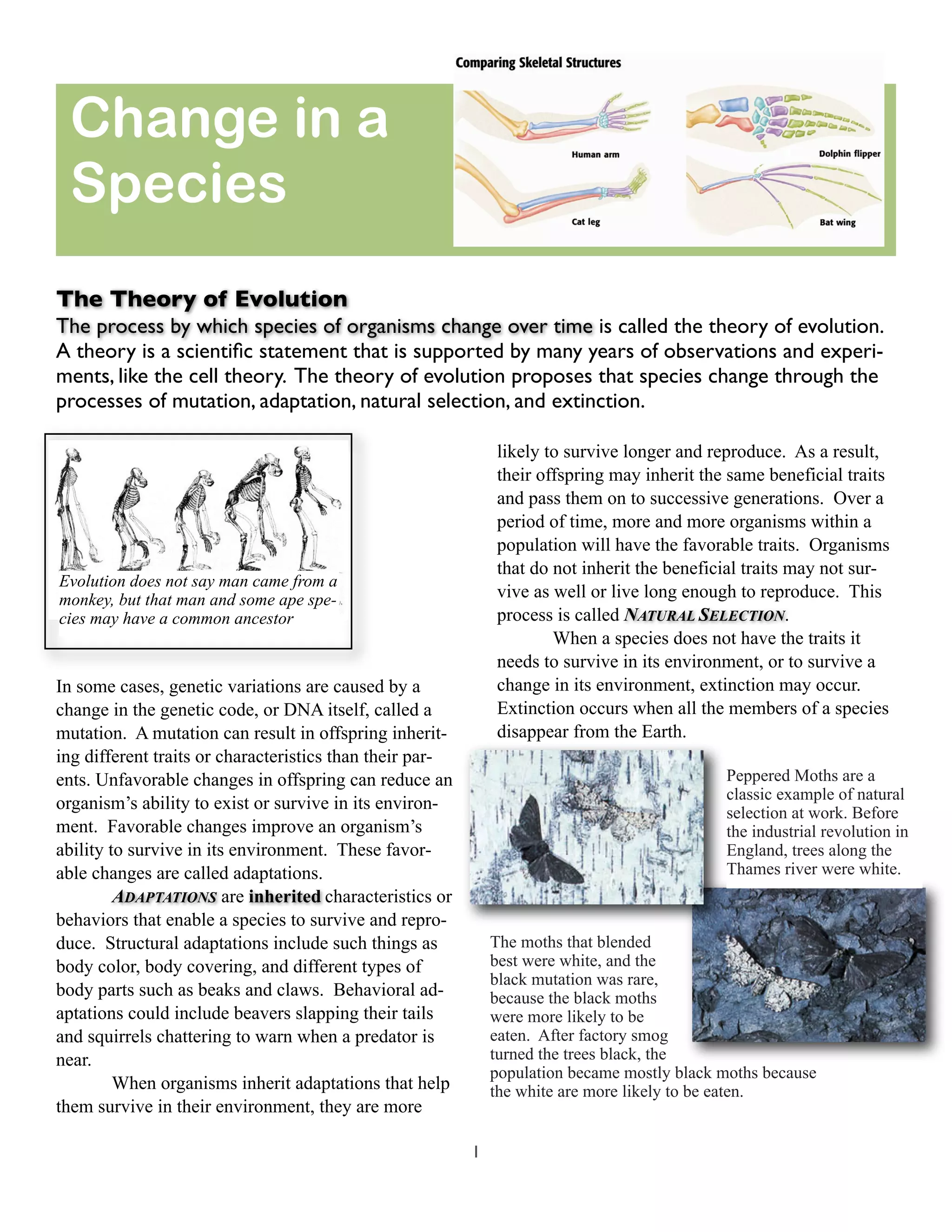 Homologous Structures: How Animals Share Surprising Similarities - 7w3ew62