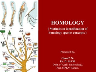 HOMOLOGY
( Methods in identification of
homology species concepts )
Presented by,
Guru P. N.
Ph. D. 015/39
Dept. of Agril. Entomology,
PGI, MPKV, Rahuri.
 
