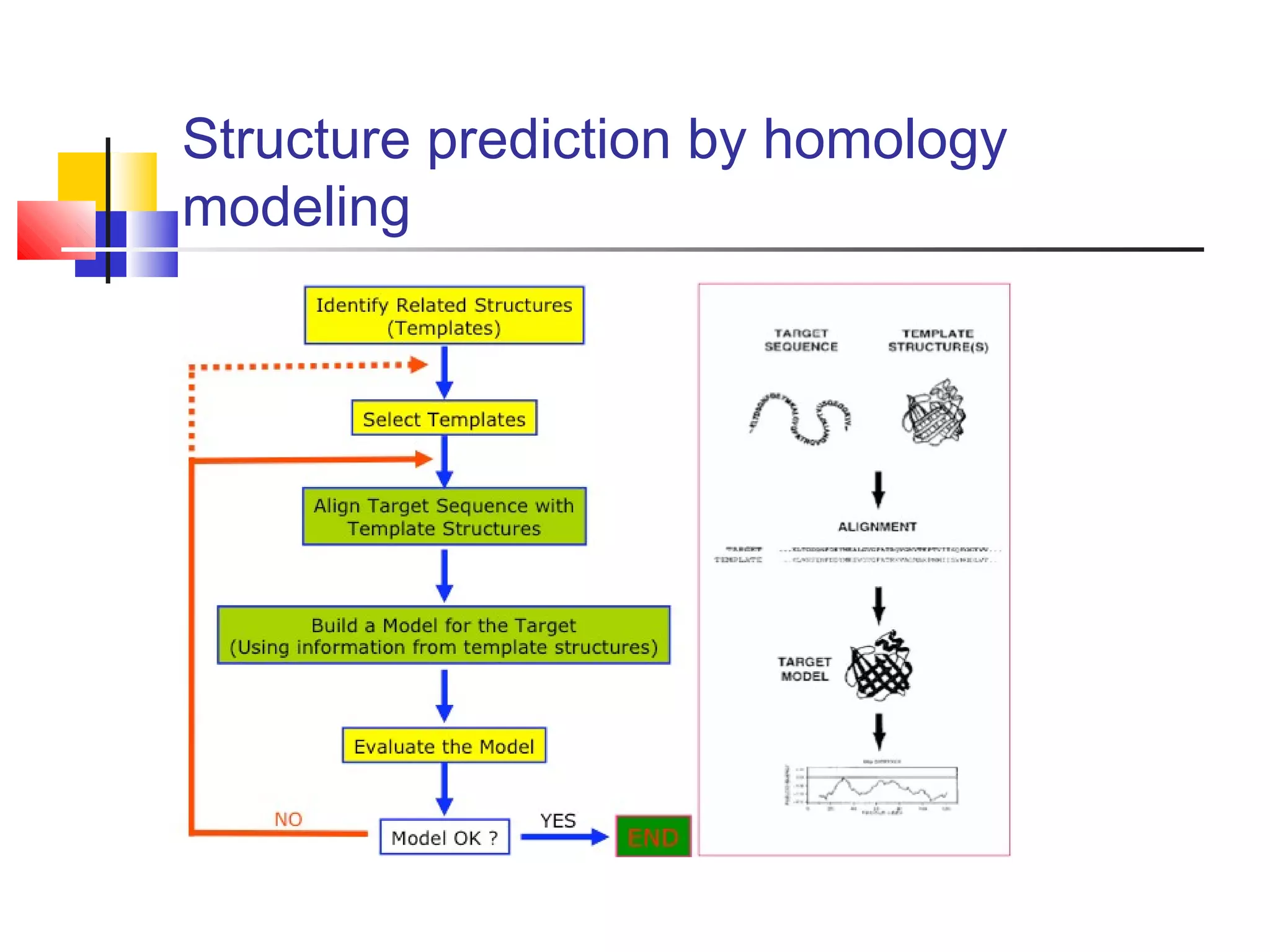 Structure prediction by homology
modeling
 