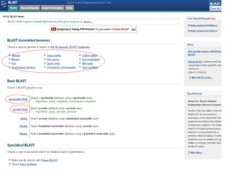 Overview - METABOLISM
 