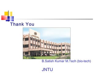 B.Satish Kumar M.Tech (bio-tech)
JNTU
Thank You
 