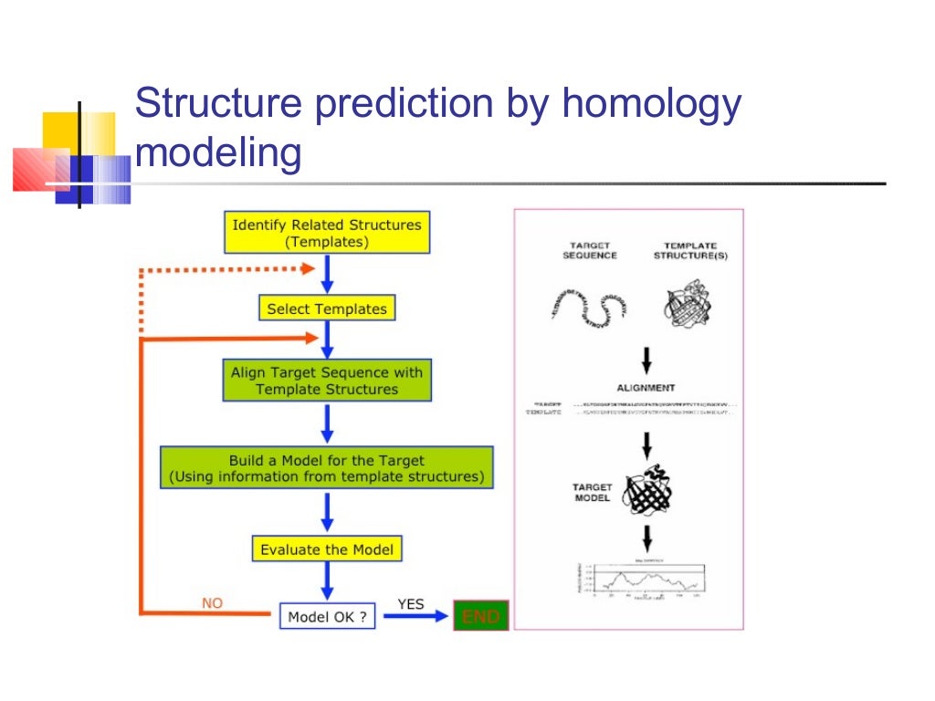 Homology modeling