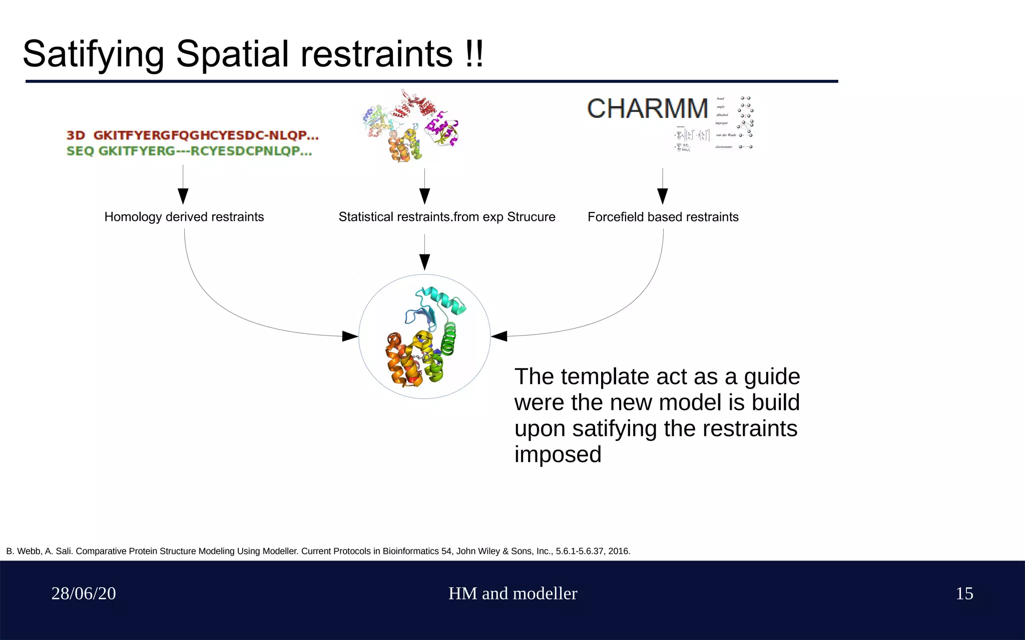 28/06/20 HM and modeller 15
Satifying Spatial restraints !!
Homology derived restraints Statistical restraints.from exp Strucure Forcefield based restraints
The template act as a guide
were the new model is build
upon satifying the restraints
imposed
B. Webb, A. Sali. Comparative Protein Structure Modeling Using Modeller. Current Protocols in Bioinformatics 54, John Wiley & Sons, Inc., 5.6.1-5.6.37, 2016.
 