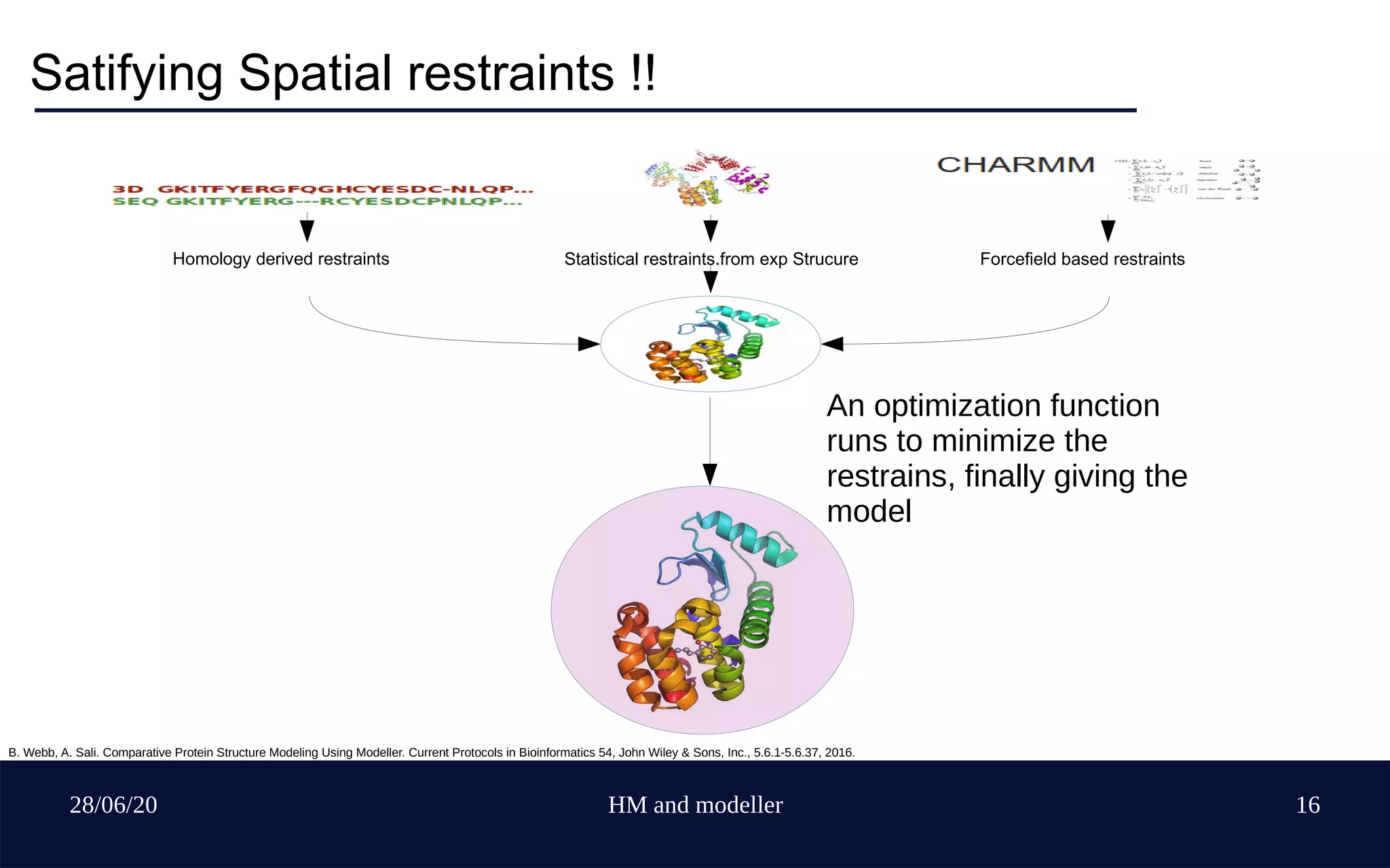 28/06/20 HM and modeller 16
Satifying Spatial restraints !!
Homology derived restraints Statistical restraints.from exp Strucure Forcefield based restraints
An optimization function
runs to minimize the
restrains, finally giving the
model
B. Webb, A. Sali. Comparative Protein Structure Modeling Using Modeller. Current Protocols in Bioinformatics 54, John Wiley & Sons, Inc., 5.6.1-5.6.37, 2016.
 