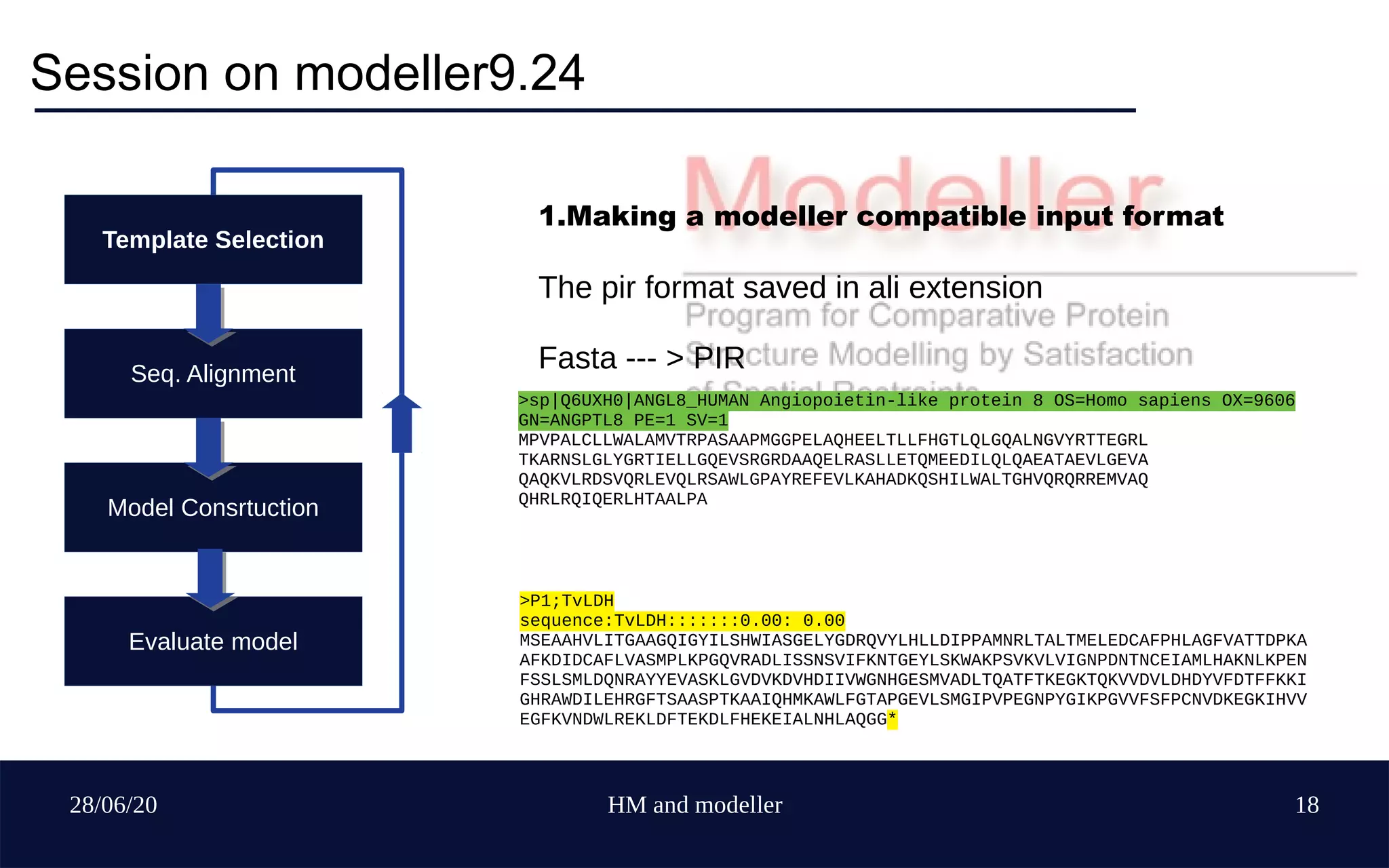 28/06/20 HM and modeller 18
Session on modeller9.24
Template Selection
Seq. Alignment
Model Consrtuction
Evaluate model
1.Making a modeller compatible input format
The pir format saved in ali extension
Fasta --- > PIR
>P1;TvLDH
sequence:TvLDH:::::::0.00: 0.00
MSEAAHVLITGAAGQIGYILSHWIASGELYGDRQVYLHLLDIPPAMNRLTALTMELEDCAFPHLAGFVATTDPKA
AFKDIDCAFLVASMPLKPGQVRADLISSNSVIFKNTGEYLSKWAKPSVKVLVIGNPDNTNCEIAMLHAKNLKPEN
FSSLSMLDQNRAYYEVASKLGVDVKDVHDIIVWGNHGESMVADLTQATFTKEGKTQKVVDVLDHDYVFDTFFKKI
GHRAWDILEHRGFTSAASPTKAAIQHMKAWLFGTAPGEVLSMGIPVPEGNPYGIKPGVVFSFPCNVDKEGKIHVV
EGFKVNDWLREKLDFTEKDLFHEKEIALNHLAQGG*
>sp|Q6UXH0|ANGL8_HUMAN Angiopoietin-like protein 8 OS=Homo sapiens OX=9606
GN=ANGPTL8 PE=1 SV=1
MPVPALCLLWALAMVTRPASAAPMGGPELAQHEELTLLFHGTLQLGQALNGVYRTTEGRL
TKARNSLGLYGRTIELLGQEVSRGRDAAQELRASLLETQMEEDILQLQAEATAEVLGEVA
QAQKVLRDSVQRLEVQLRSAWLGPAYREFEVLKAHADKQSHILWALTGHVQRQRREMVAQ
QHRLRQIQERLHTAALPA
 