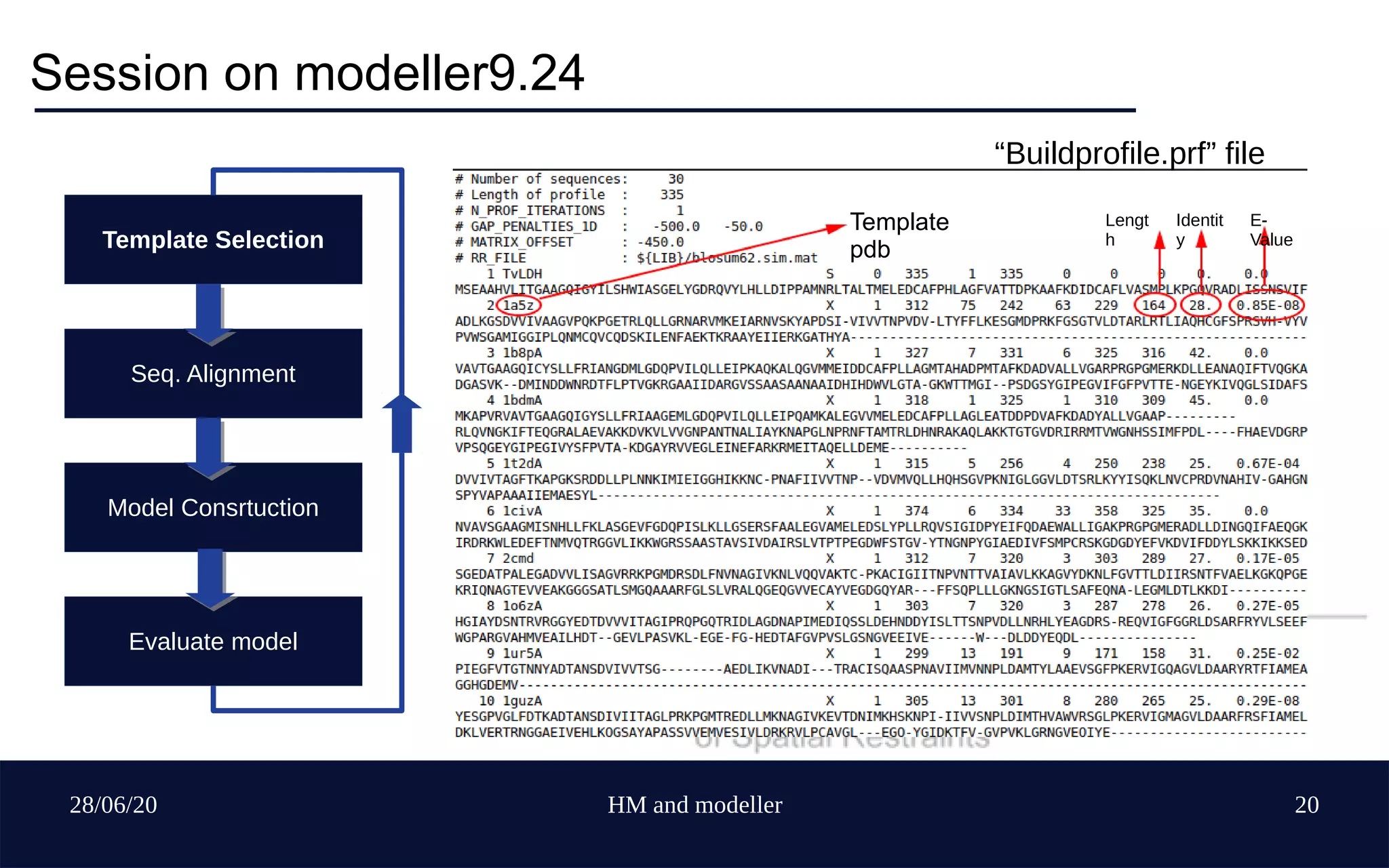 28/06/20 HM and modeller 20
Session on modeller9.24
Template Selection
Seq. Alignment
Model Consrtuction
Evaluate model
Template
pdb
Lengt
h
Identit
y
E-
Value
“Buildprofile.prf” file
 