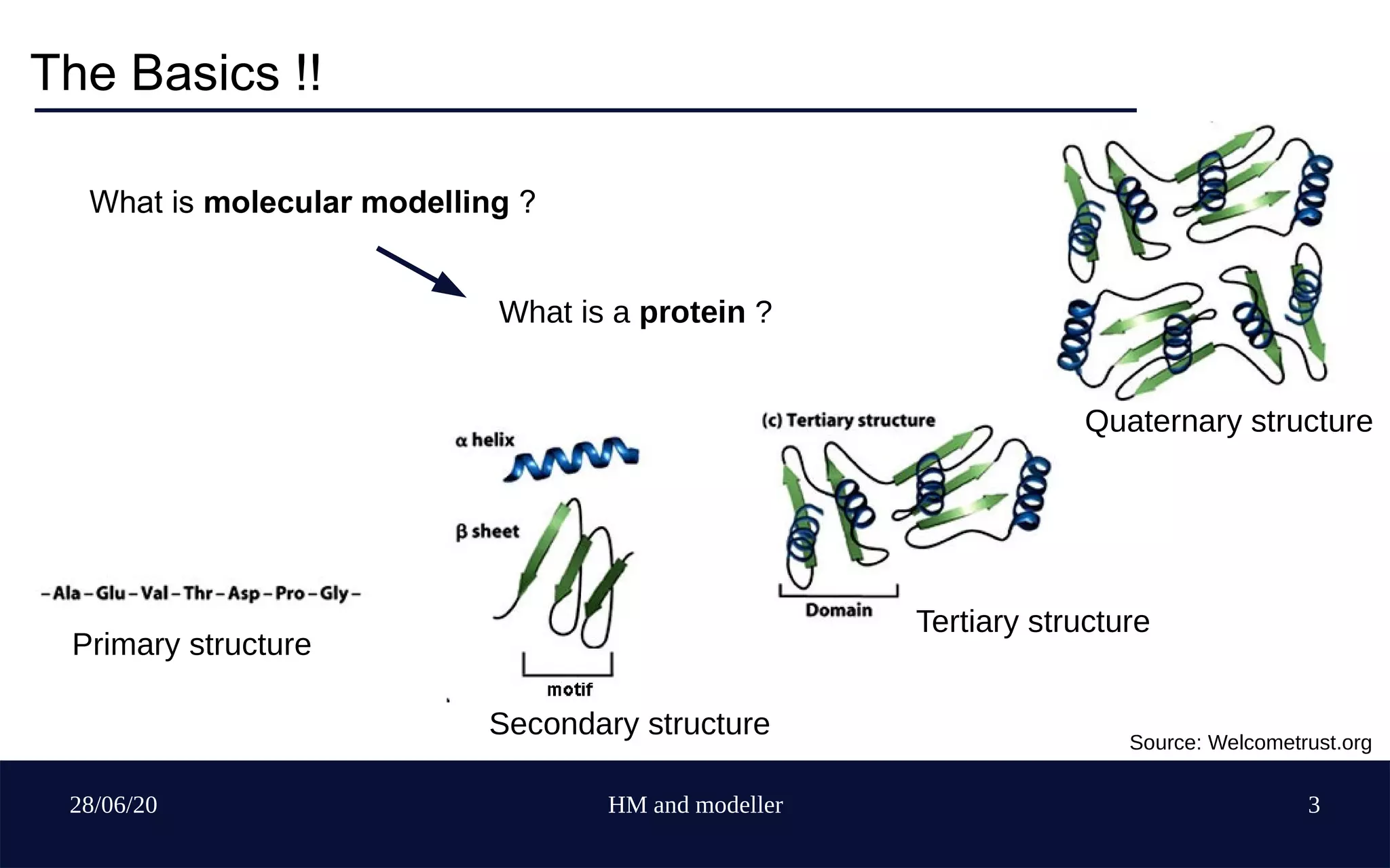 28/06/20 HM and modeller 3
The Basics !!
What is molecular modelling ?
What is a protein ?
Primary structure
Secondary structure
Tertiary structure
Quaternary structure
Source: Welcometrust.org
 