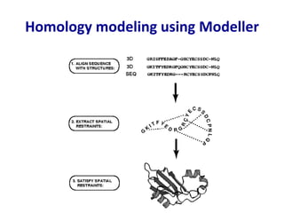 Homology modeling using Modeller
 