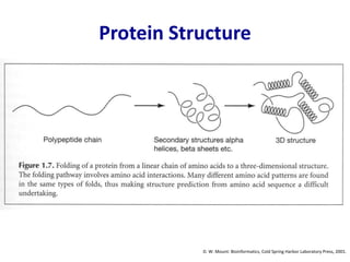 Protein Structure
D. W. Mount: Bioinformatics, Cold Spring Harbor Laboratory Press, 2001.
 